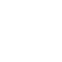 Ludovica & Valerio